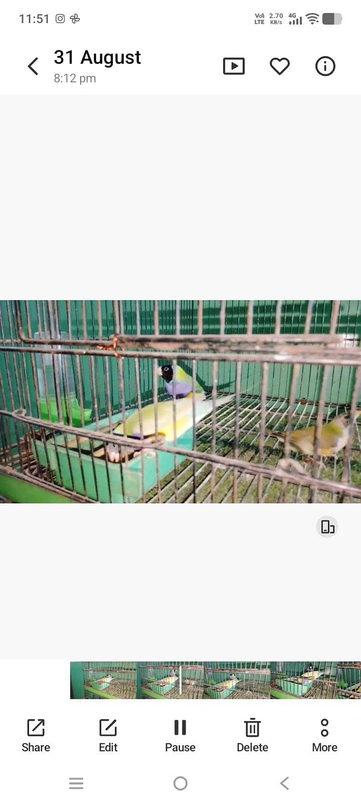 goldiyea split blu hai 4