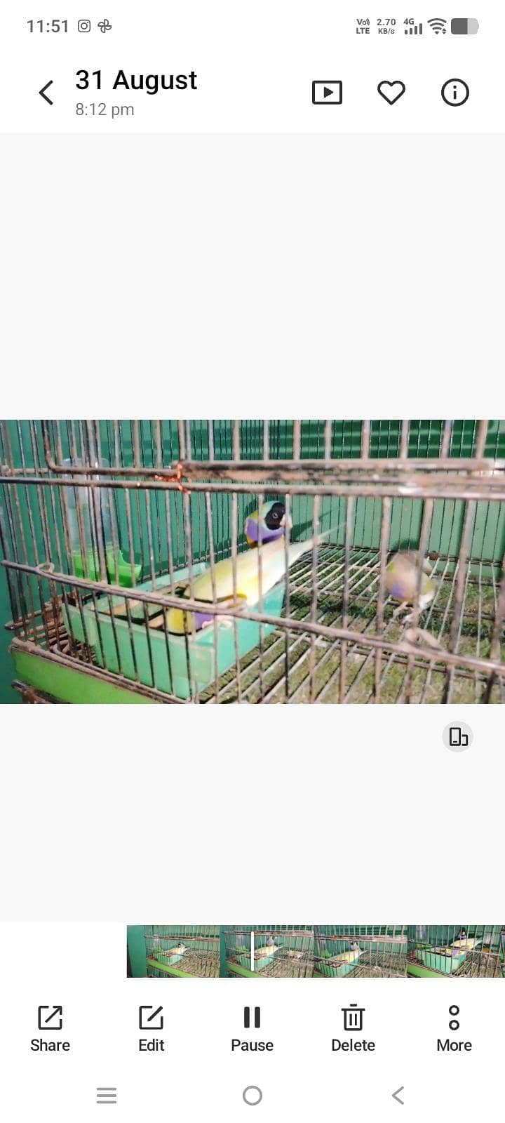 goldiyea split blu hai 5