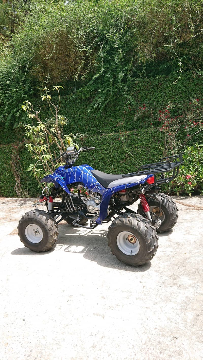 ATV monster 1