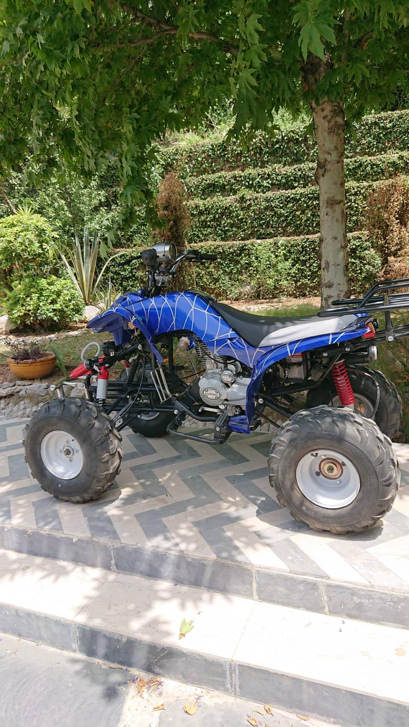 ATV monster 6