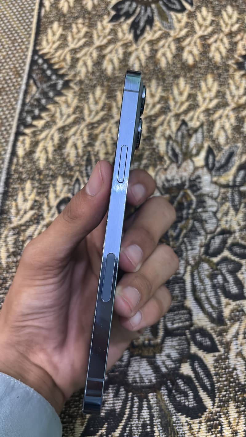 Apple iPhone 13 Pro Max 1