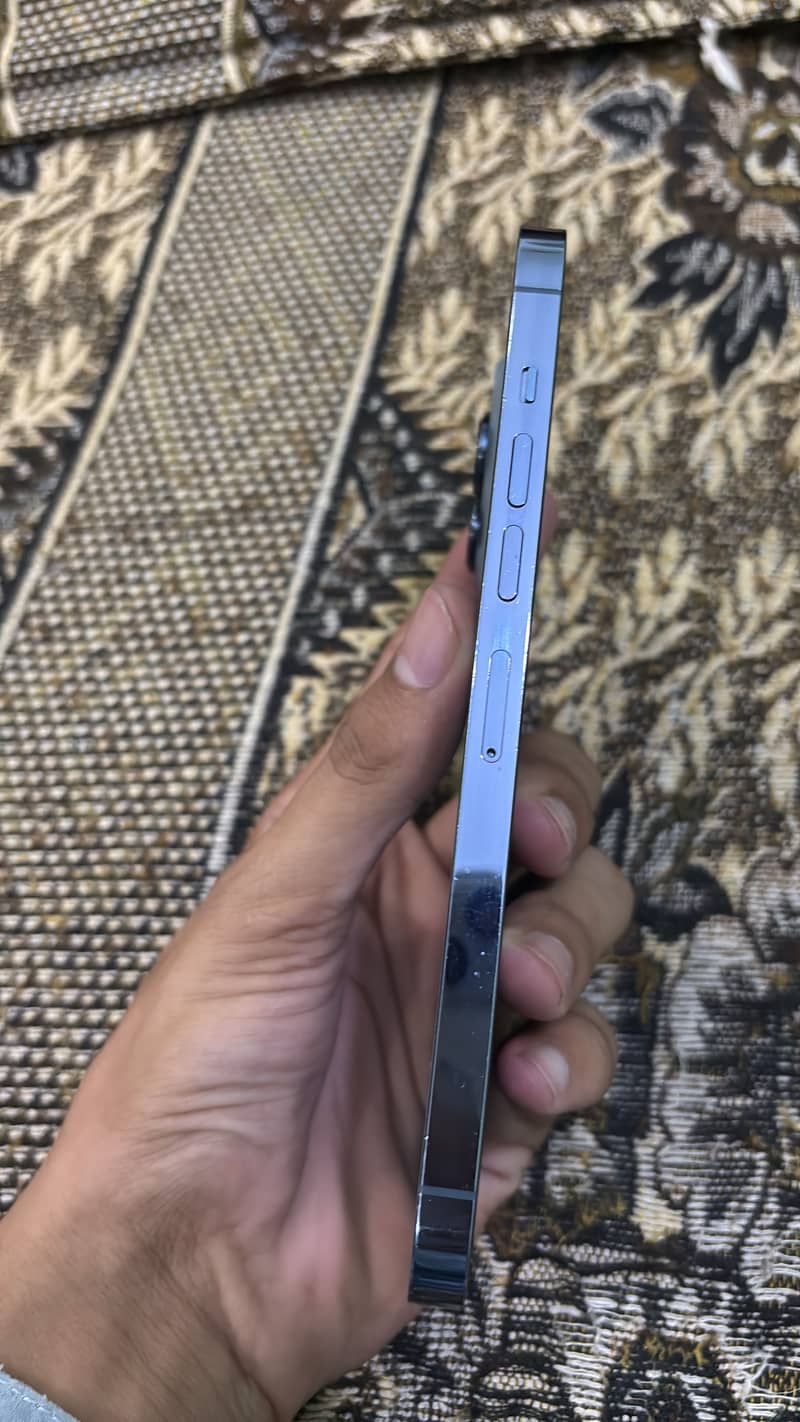 Apple iPhone 13 Pro Max 2