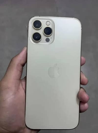 Apple iPhone 12 Pro Max