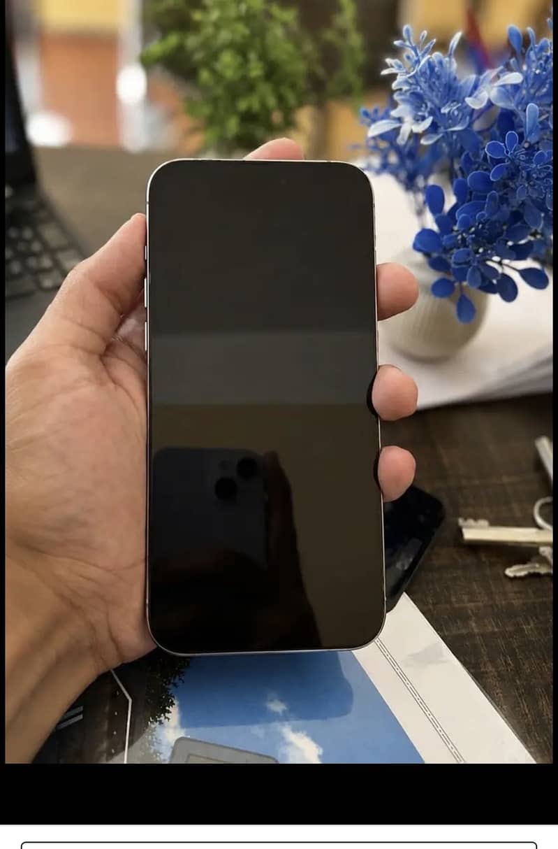 Apple iPhone 15 Pro Max 1