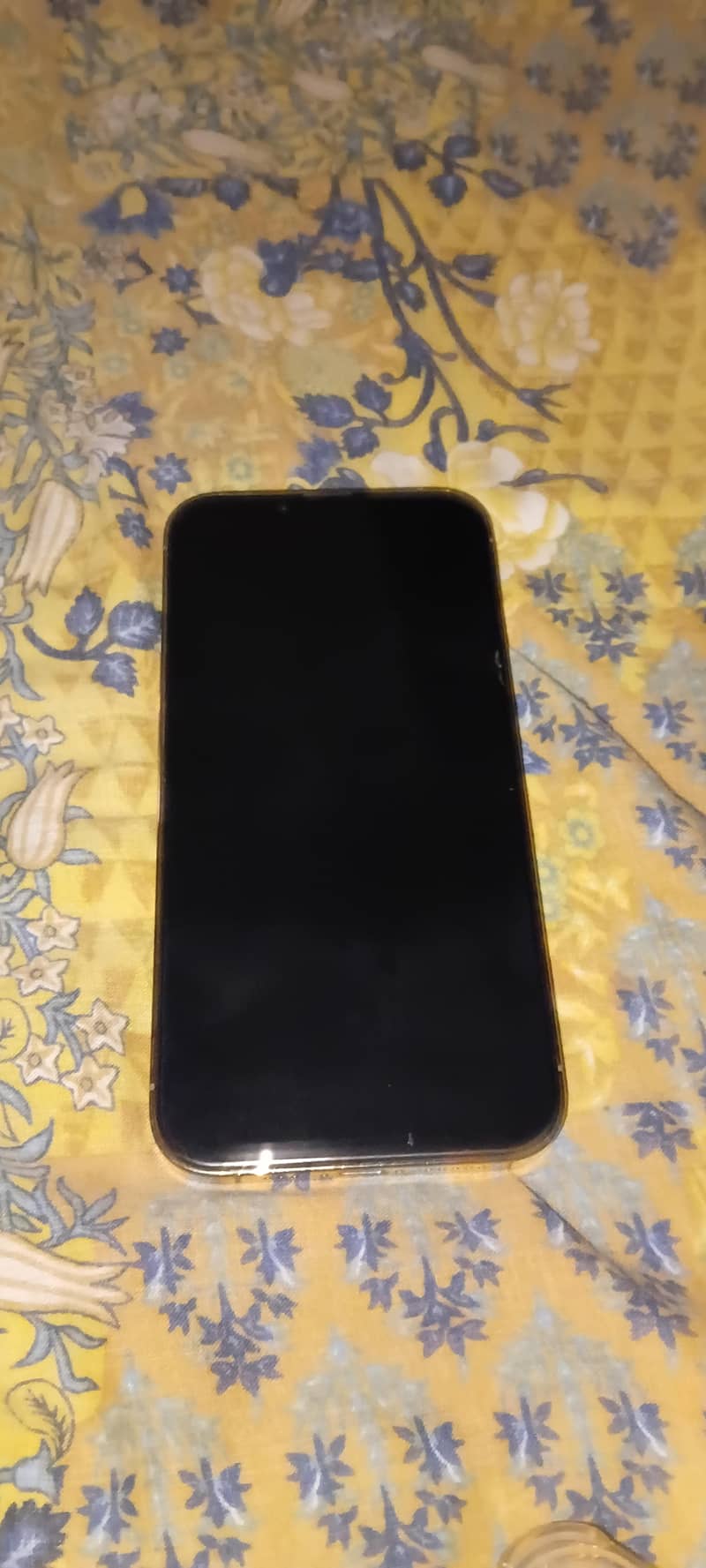Apple iPhone 13 Pro 3