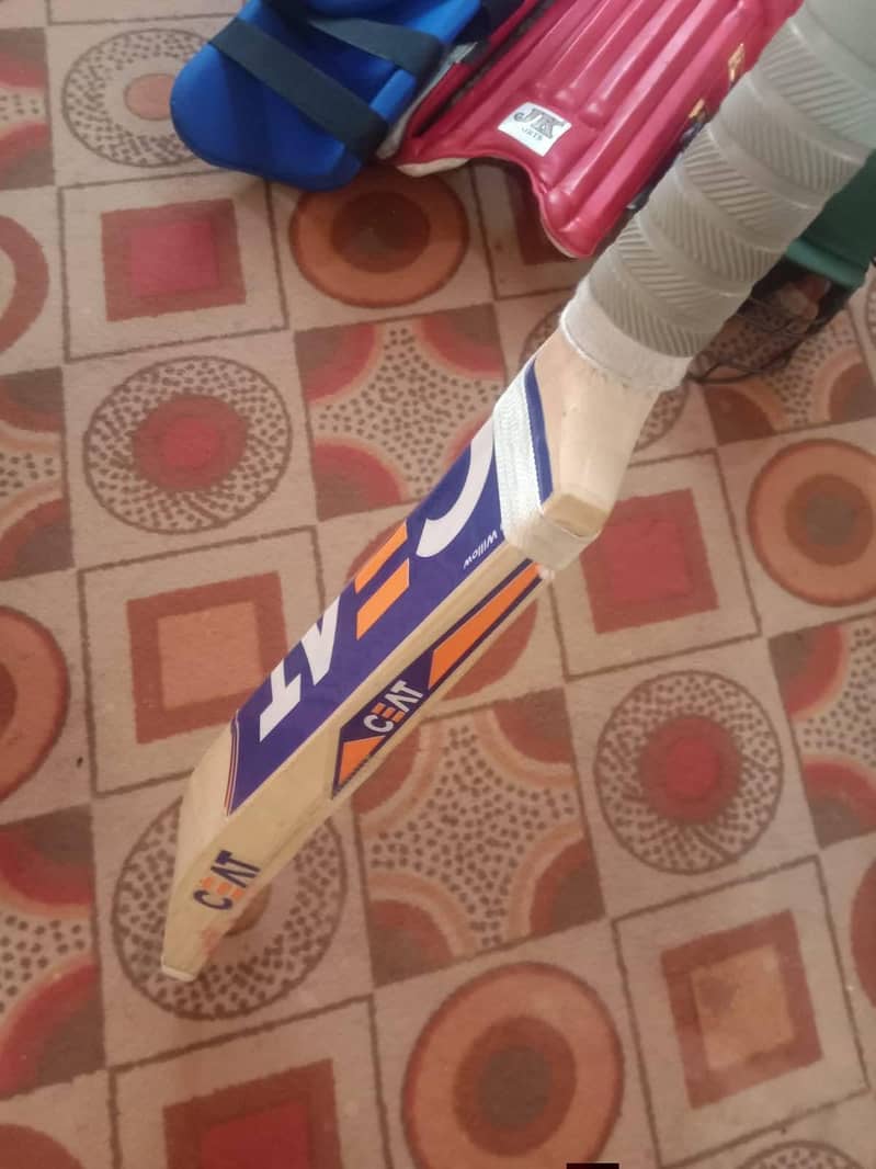 cricket kit full 3