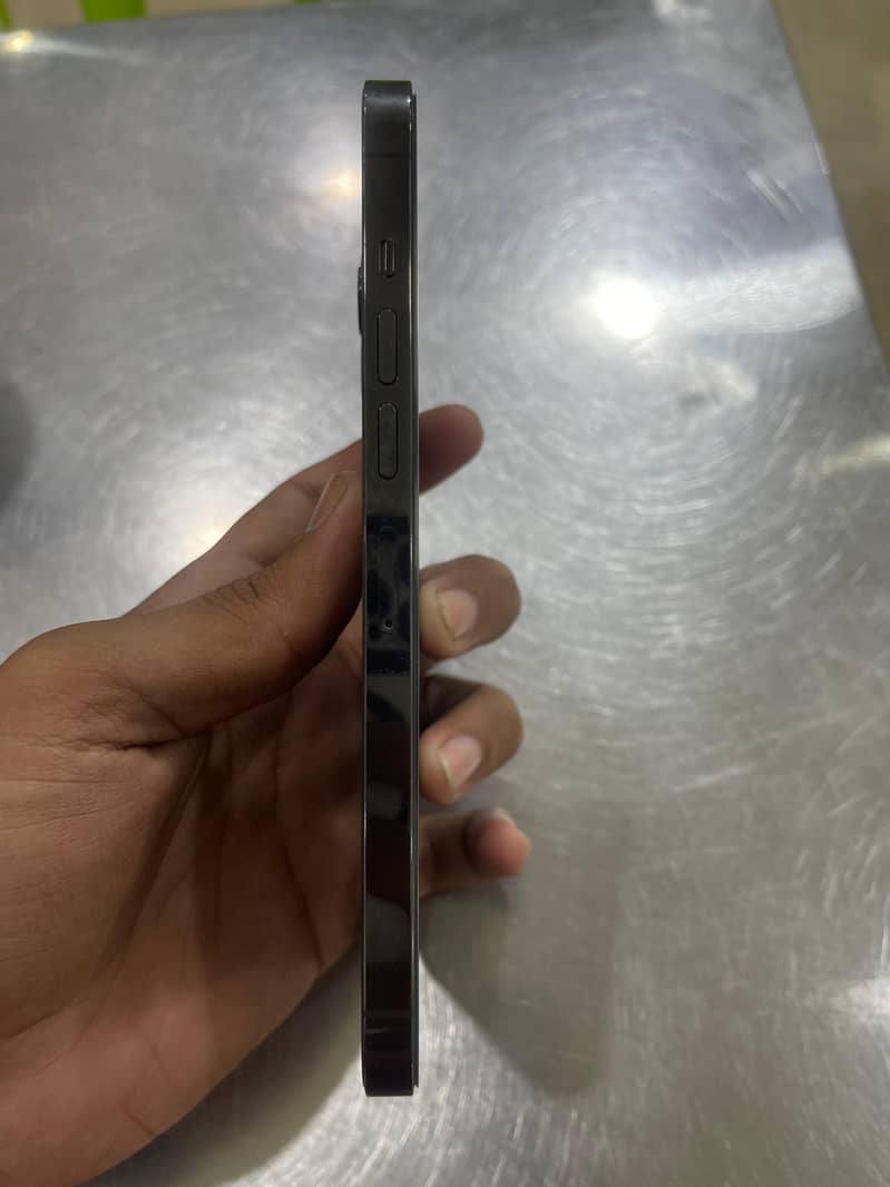 Apple iPhone 13 Pro Max 1