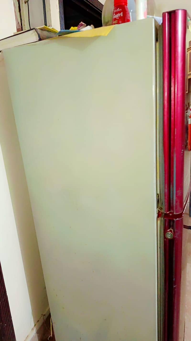 Orient Fridge Medium Size 2