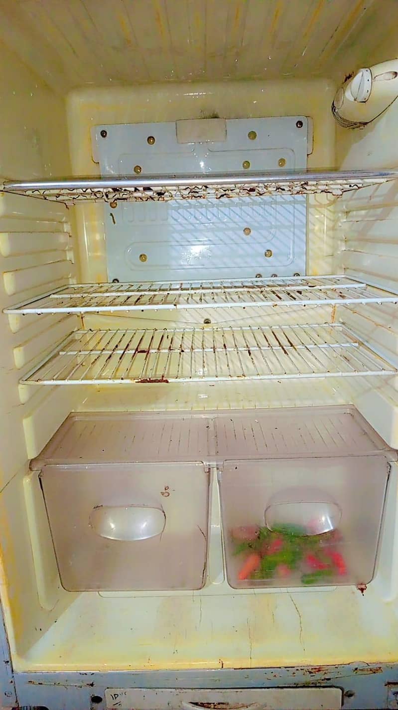 Orient Fridge Medium Size 5