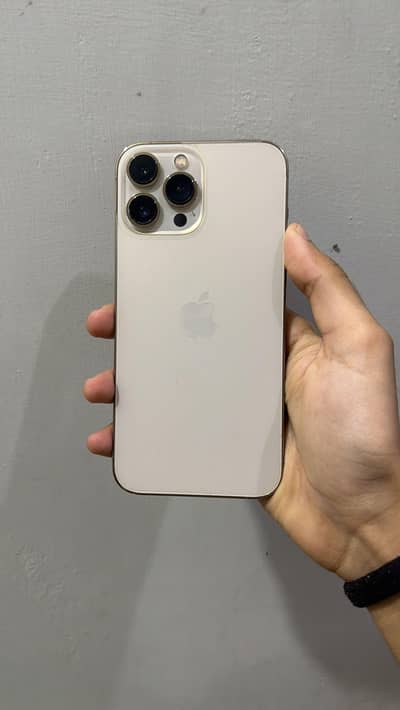 Apple iPhone 13 Pro Max