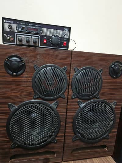New Speakers with amplifier