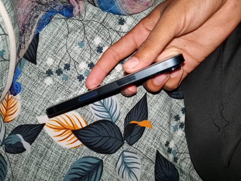 Apple iPhone 13 0