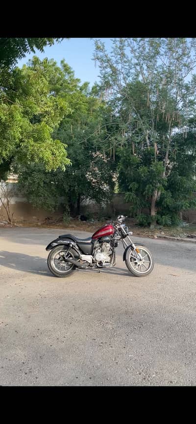 Hi speed freedom converted into bobber