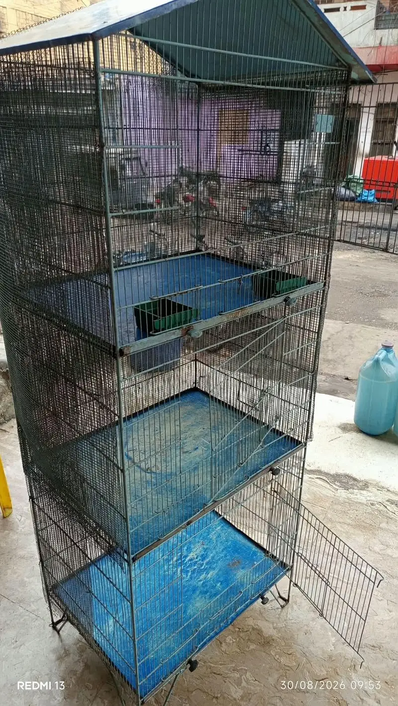 Three portion cage — photo 2