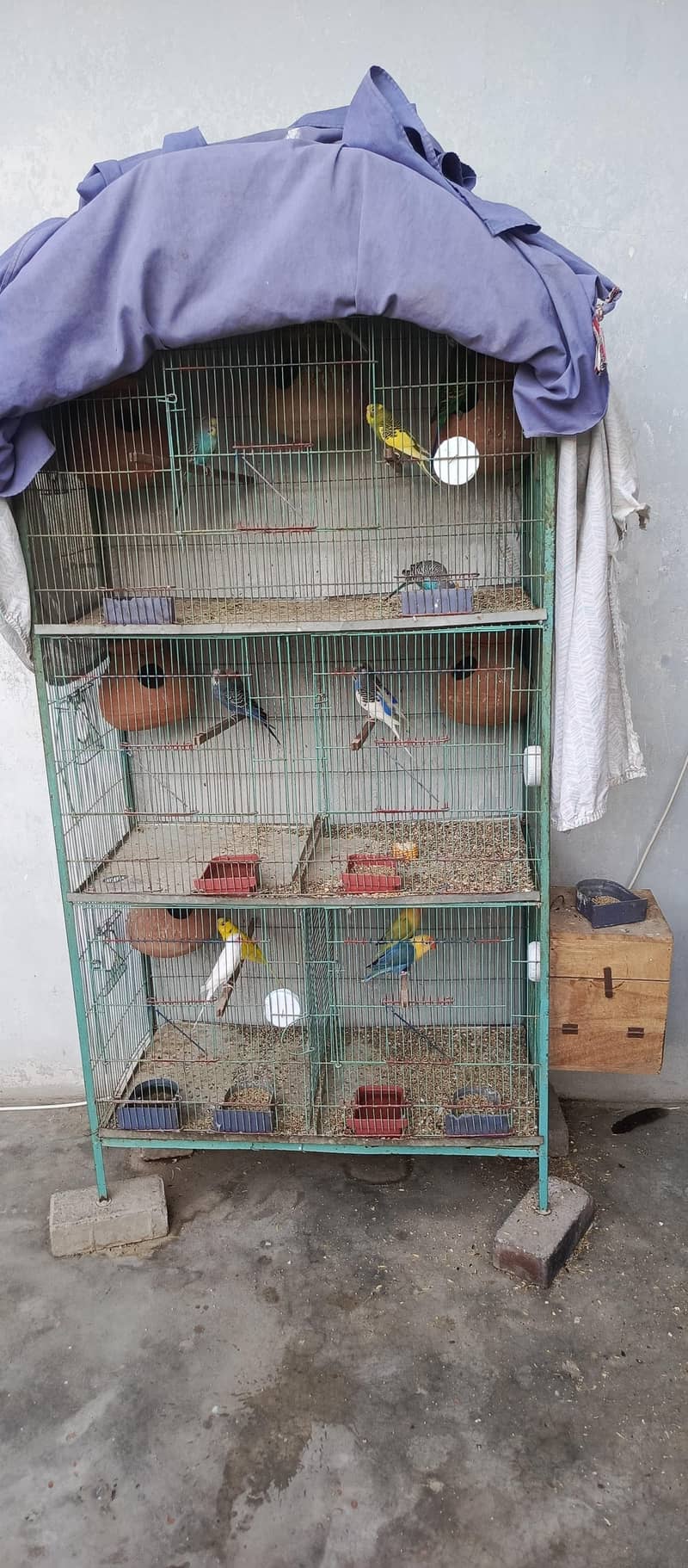 Partition Cage 0
