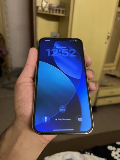 Apple iPhone 13 Pro Max