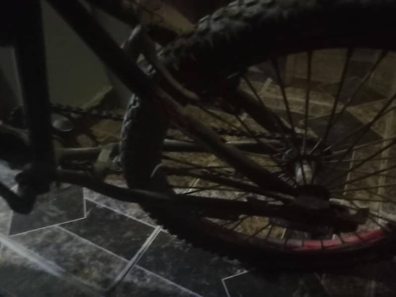 cycle 2