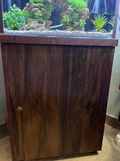 Aquarium