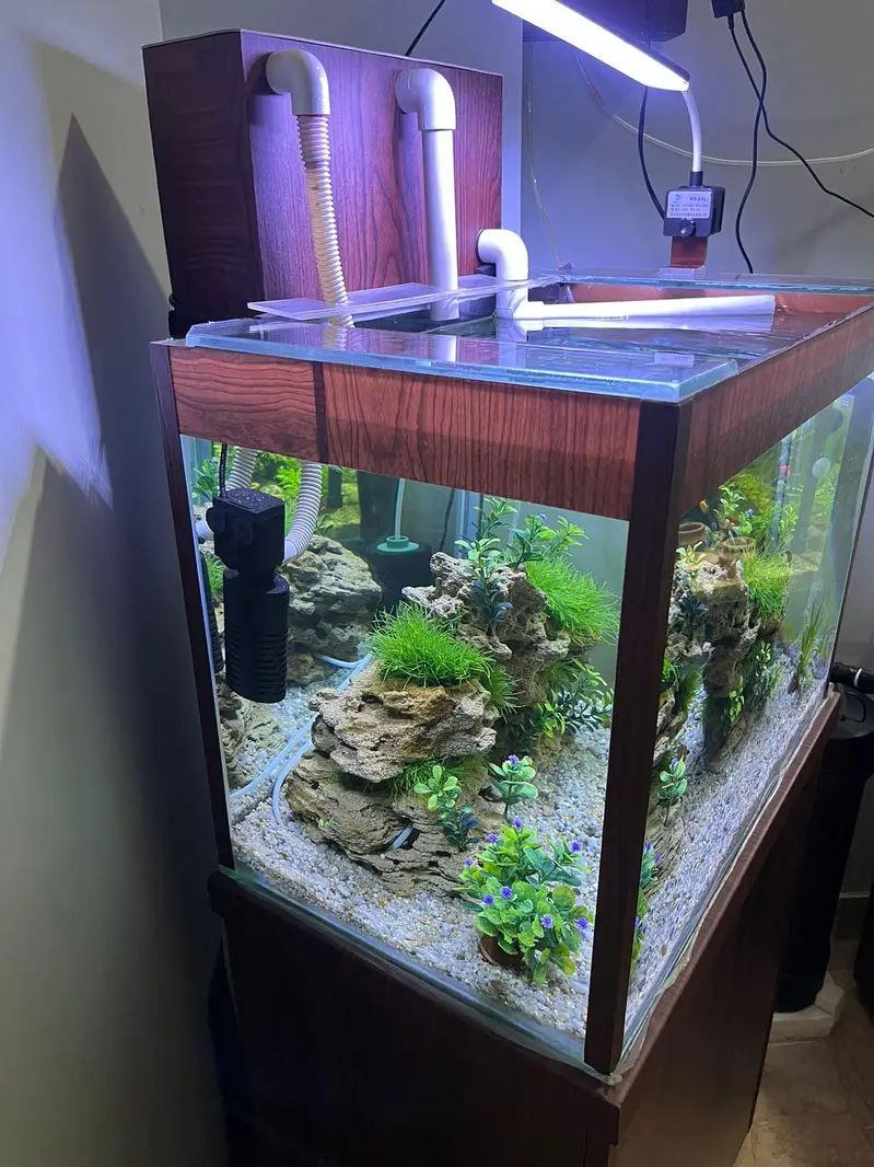 Aquarium — photo 2