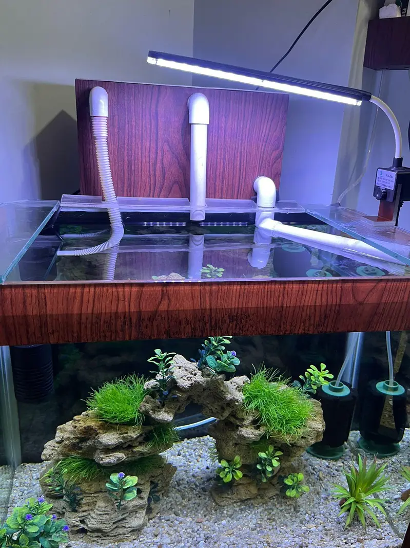 Aquarium — photo 3