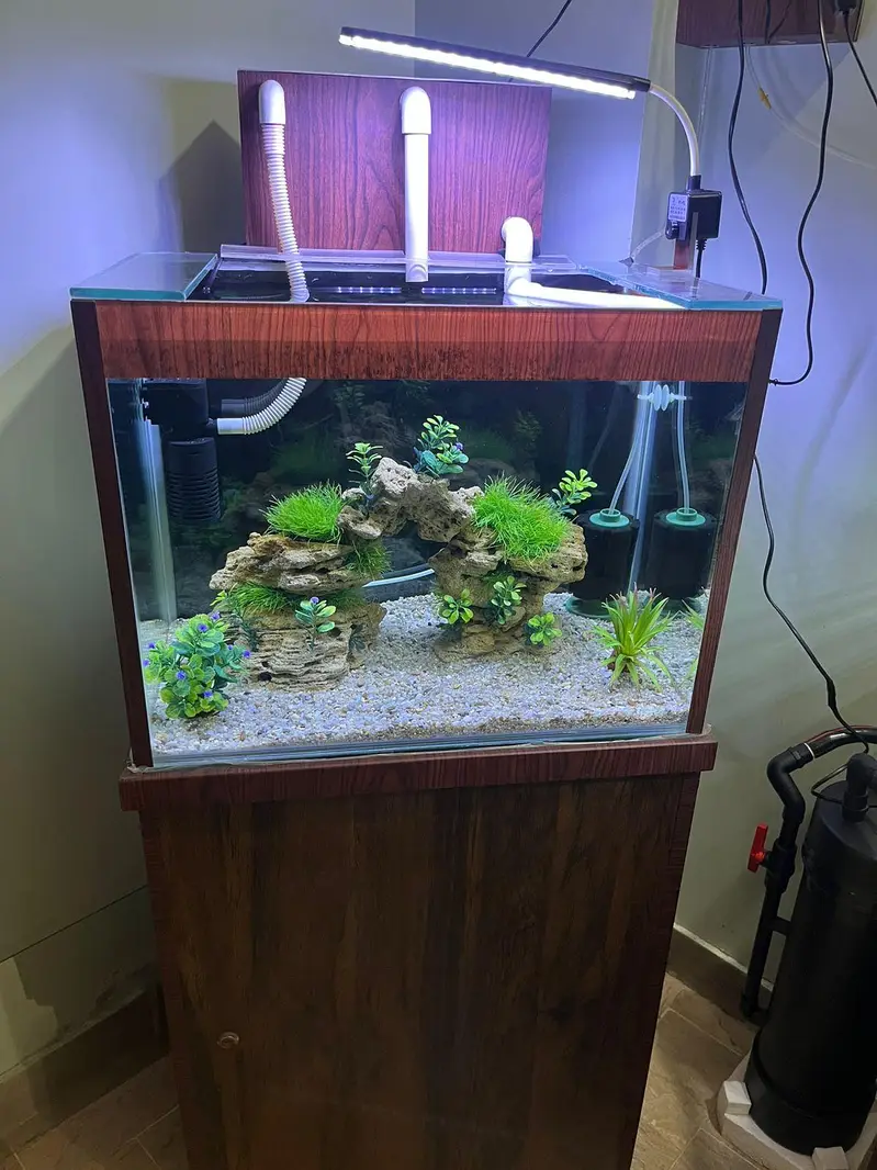 Aquarium — photo 4