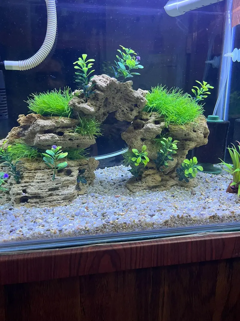 Aquarium — photo 5