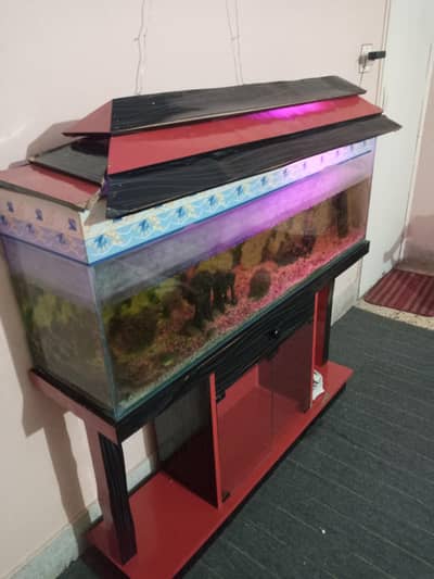 3.5 fits aquarium
