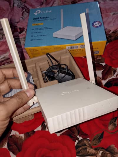 TP Link Router