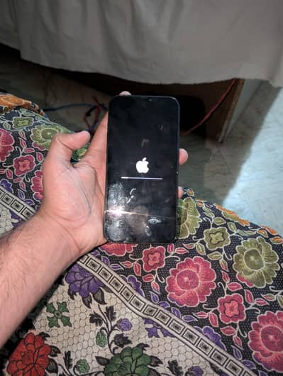 Apple iPhone 12 Pro Max