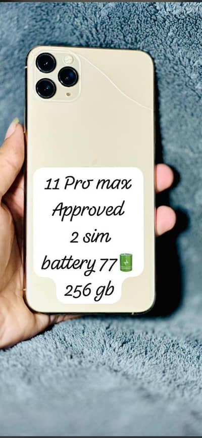 Apple iPhone 11 Pro Max pta