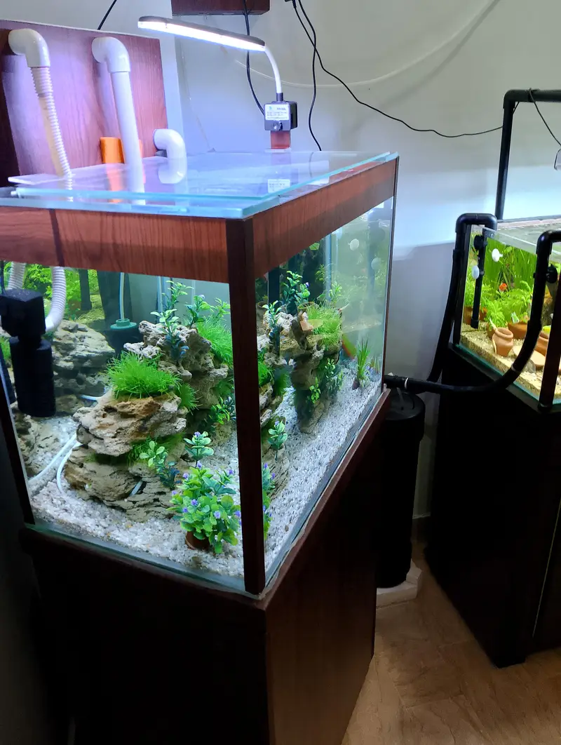 Aquarium — photo 6