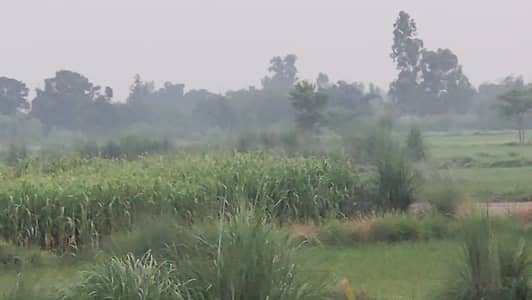 8 ACRES LAND FOR SALE MIR MUHAMMAD / PANDOKI