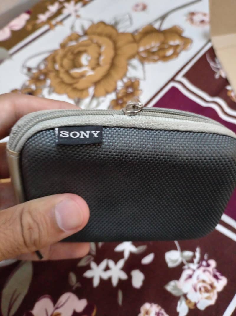 Sony Digital Camera 2