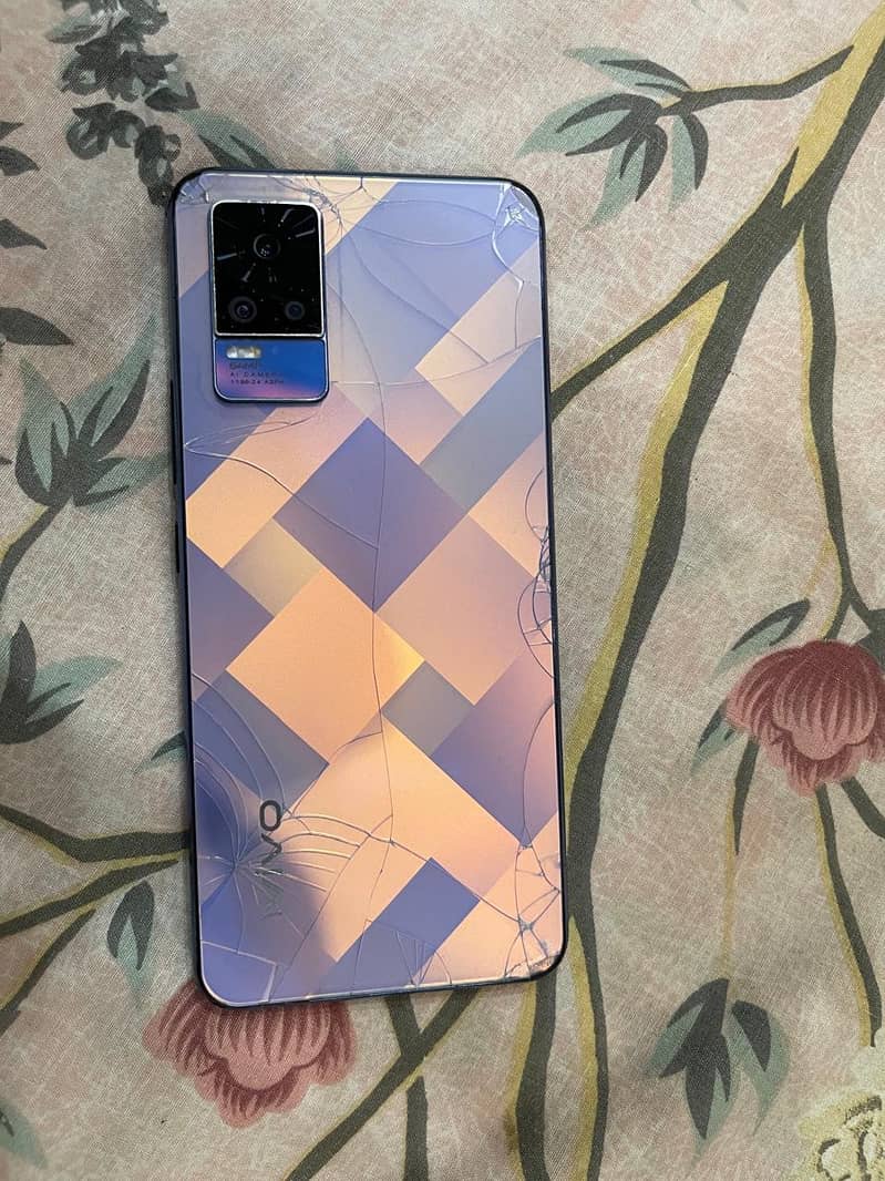 V21 E ViVo 1