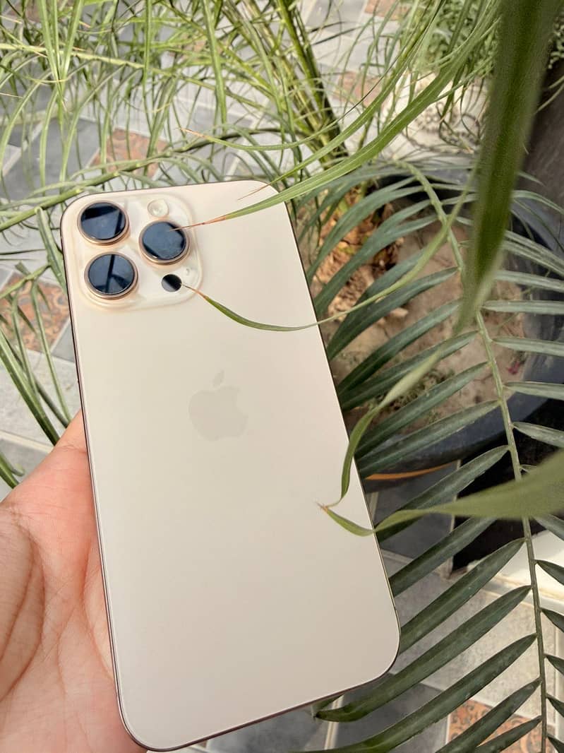 iPhone 16 Pro Max 0