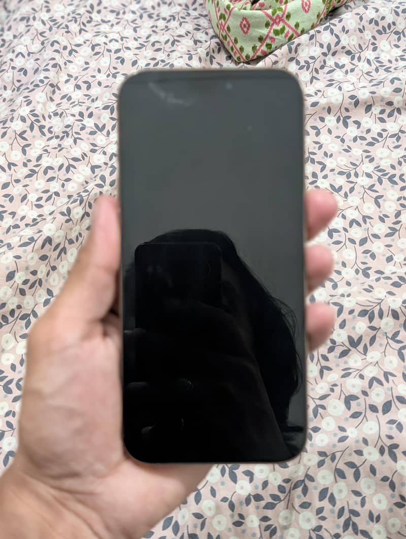 Apple iPhone 16 Pro Max 0