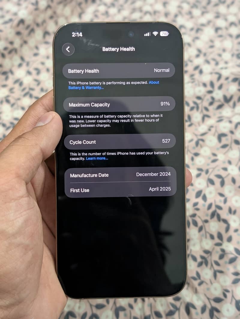 Apple iPhone 16 Pro Max 1