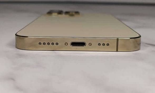 Apple iPhone 13 Pro Max 1