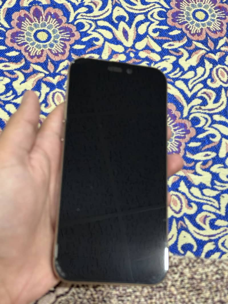 Apple iPhone 16 Pro Max 5
