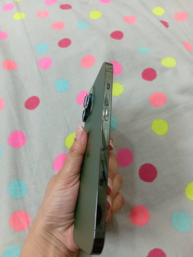 Apple iPhone 13 Pro Max 1