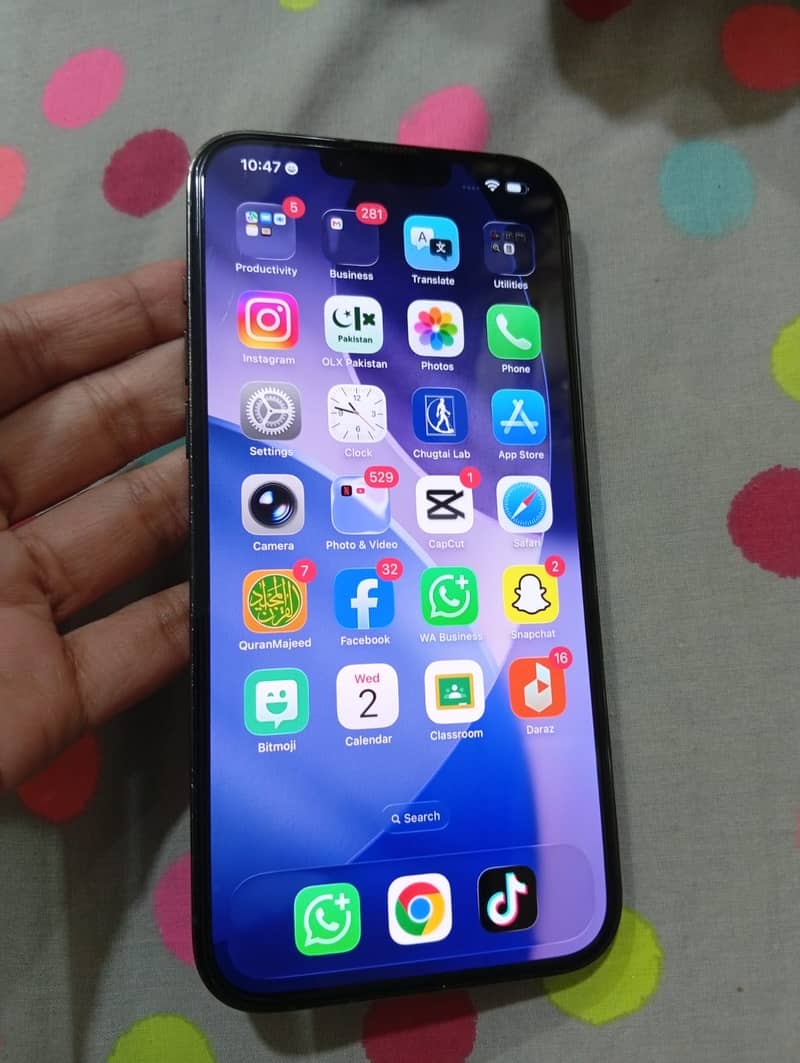 Apple iPhone 13 Pro Max 2