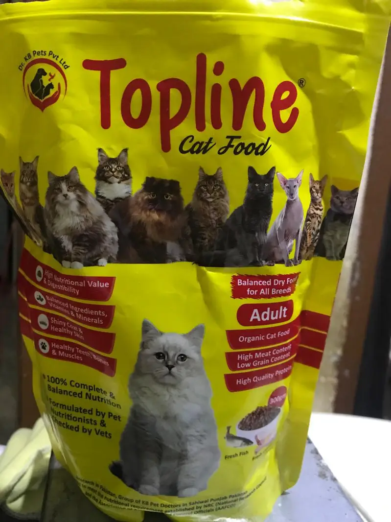 active cat with free top line feed pack — photo 3