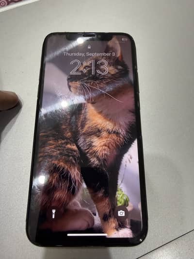 Apple iPhone X