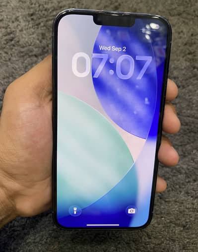 Apple iPhone 13 Pro Max