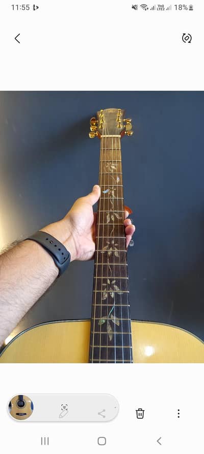 proffesional Guitar