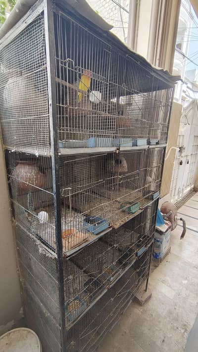 Cage for Sale