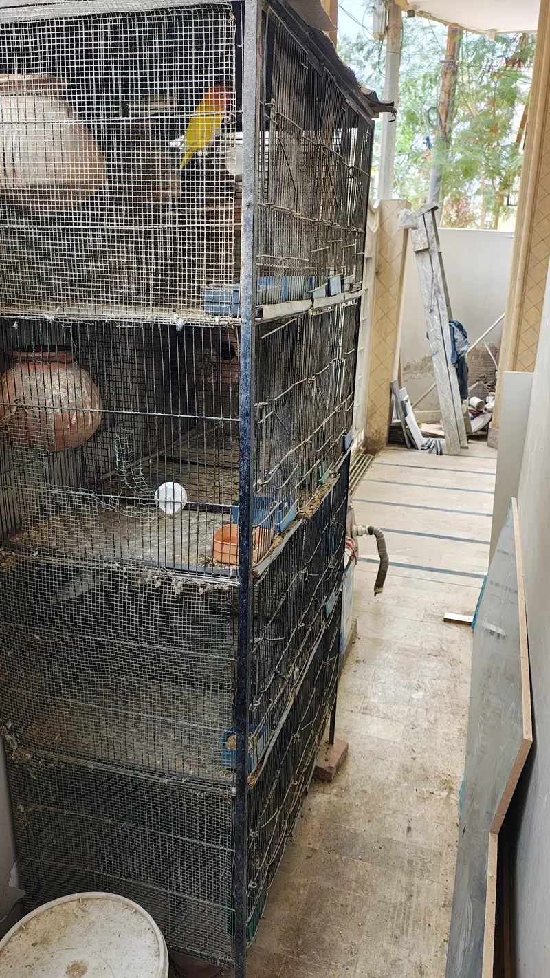 Cage for Sale — photo 2