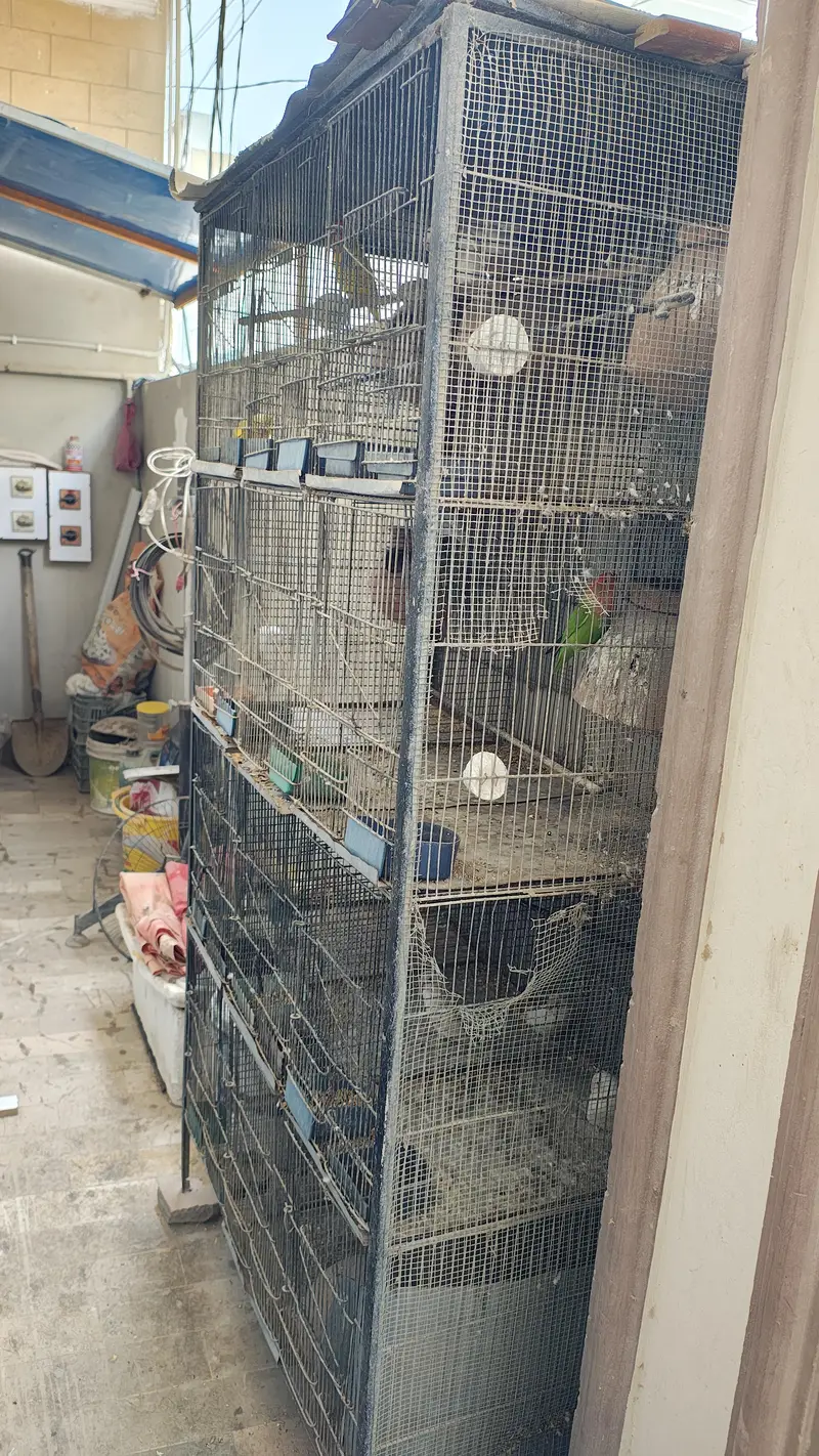 Cage for Sale — photo 3