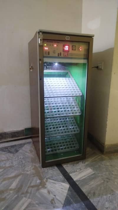 incubator 500 aggs capacity