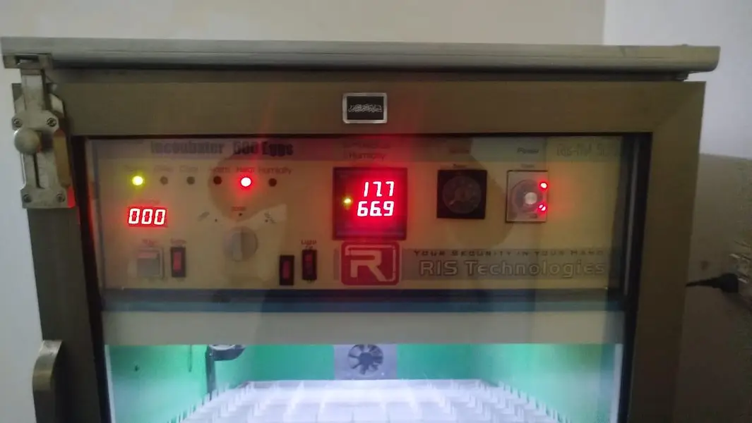 incubator 500 aggs capacity — photo 4